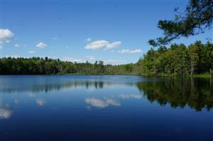 Peaceful - Chaffin Pond